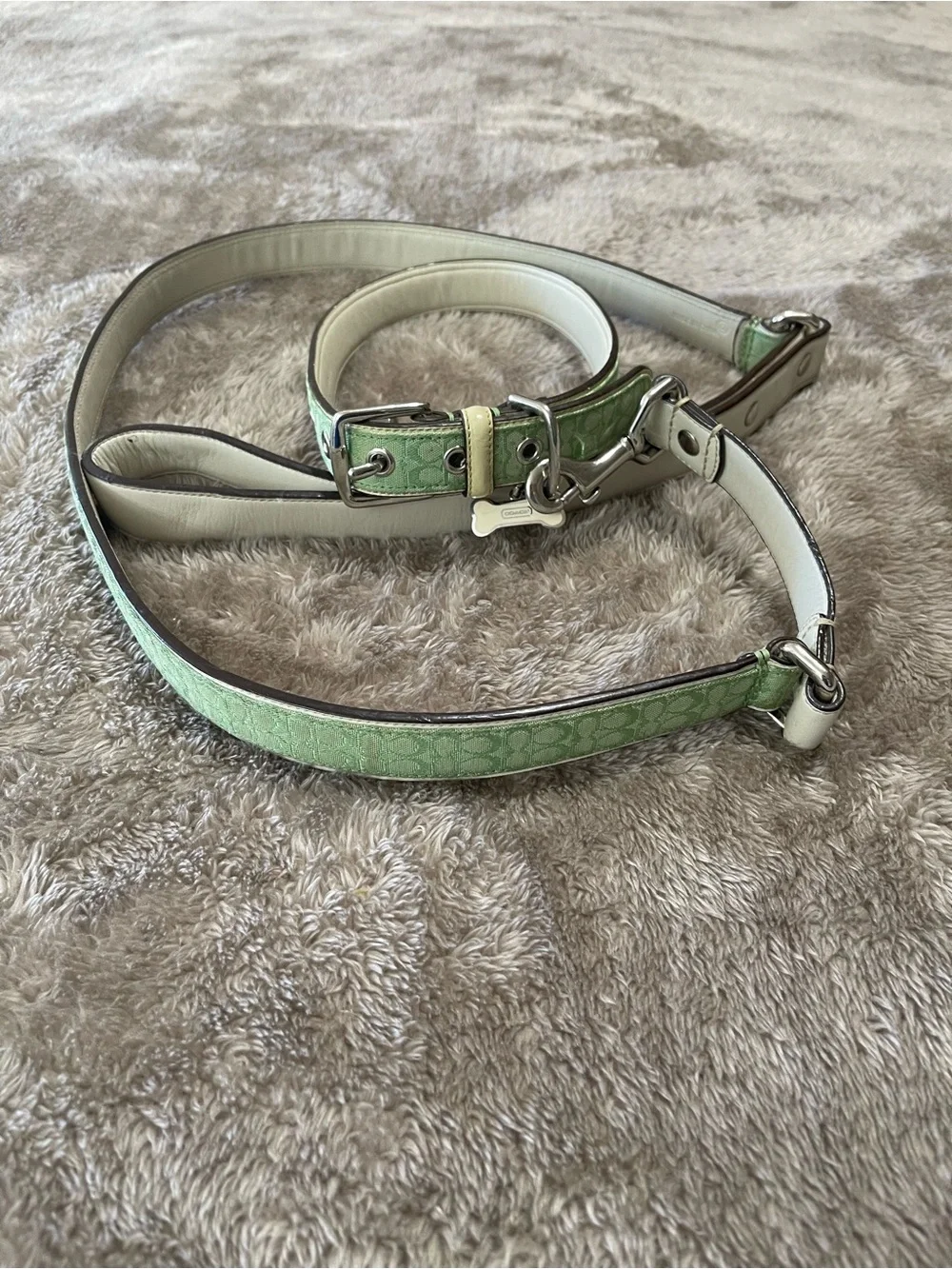 Coach Signature “C” Mint Green Dog Collar & Leash Set 💚🐾 | RARE